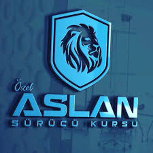 ASLAN SÜRÜCÜ KURSU